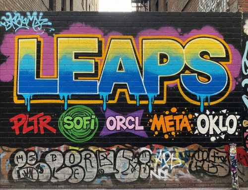 5 LEAPs for Long Term Growth