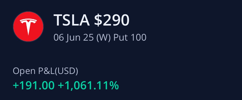 nilly TSLA