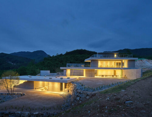 Fight for your freedom